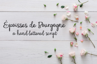 PN Époisses De Bourgogne: A Designer’s Review